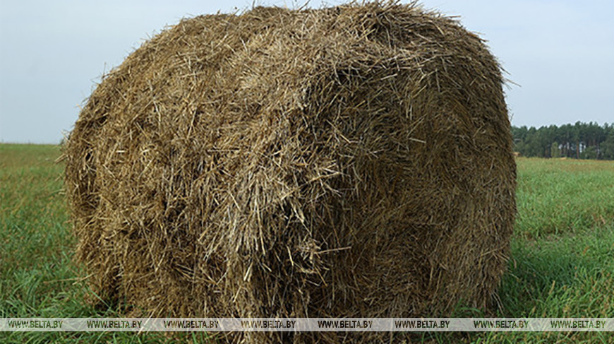 Фото из архива