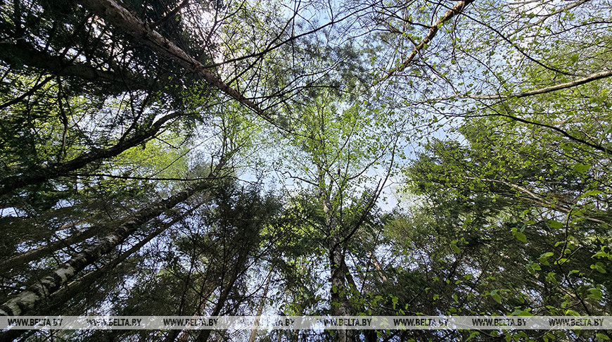 Фото из архива