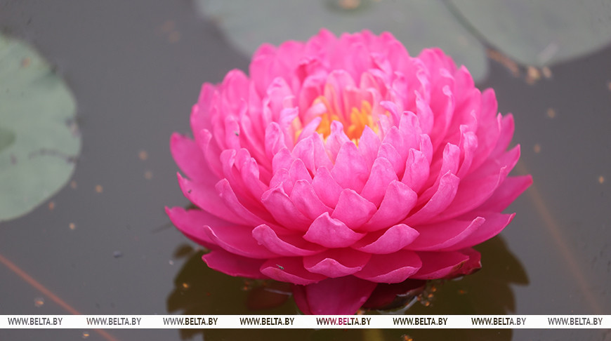 Фото из архива