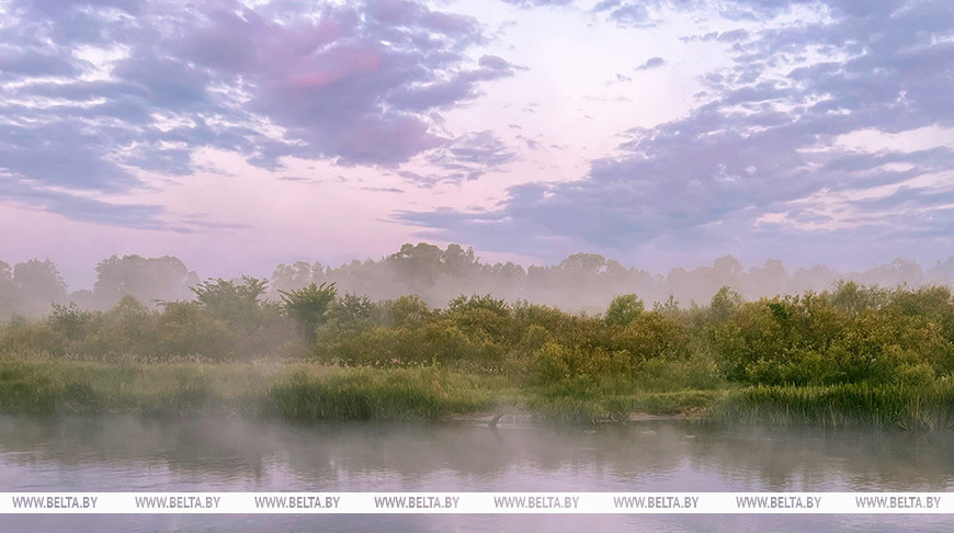 Фото из архива