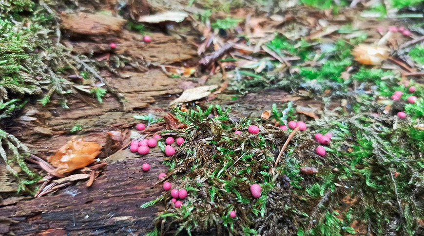 Фото национального парка
