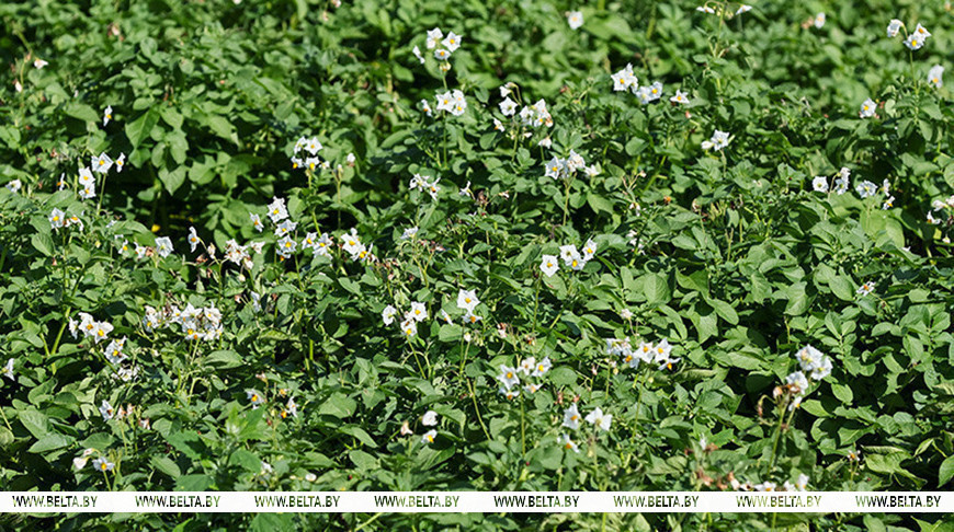 Фото из архива