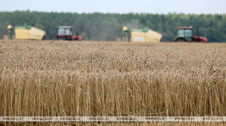 Фото из архива
