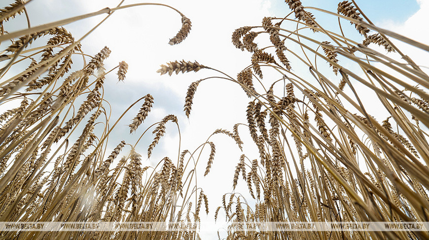 Фото из архива