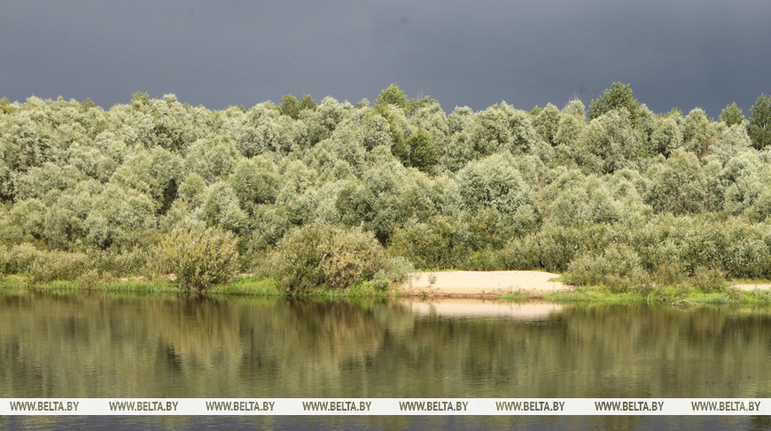 Фото из архива