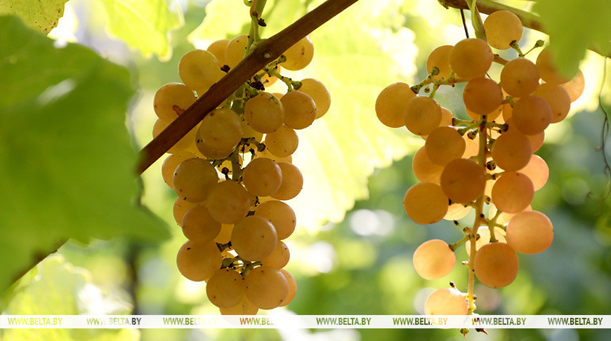 Фото из архива