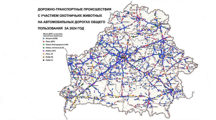 Фото РУП "Белдорцентр"