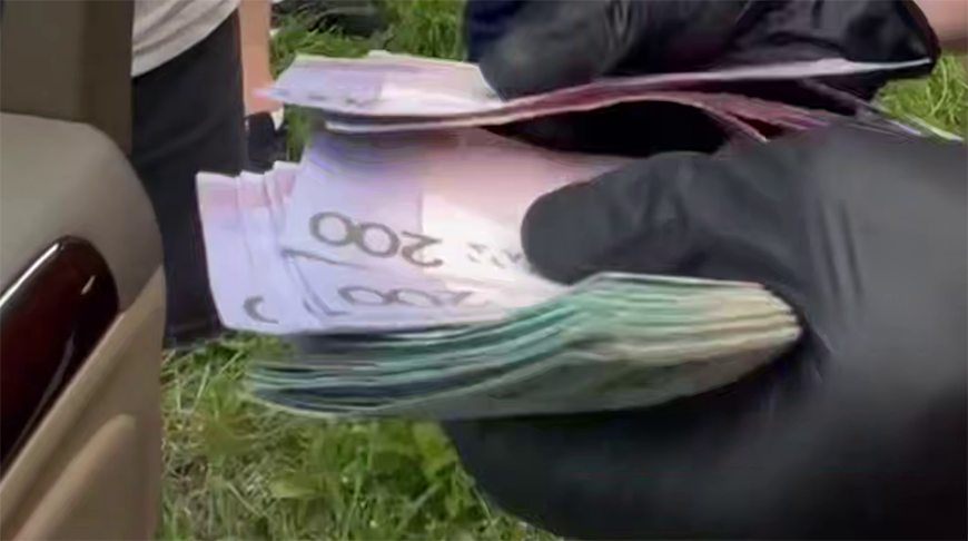 Скриншот видео МВД