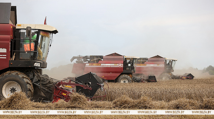 Фото из архива