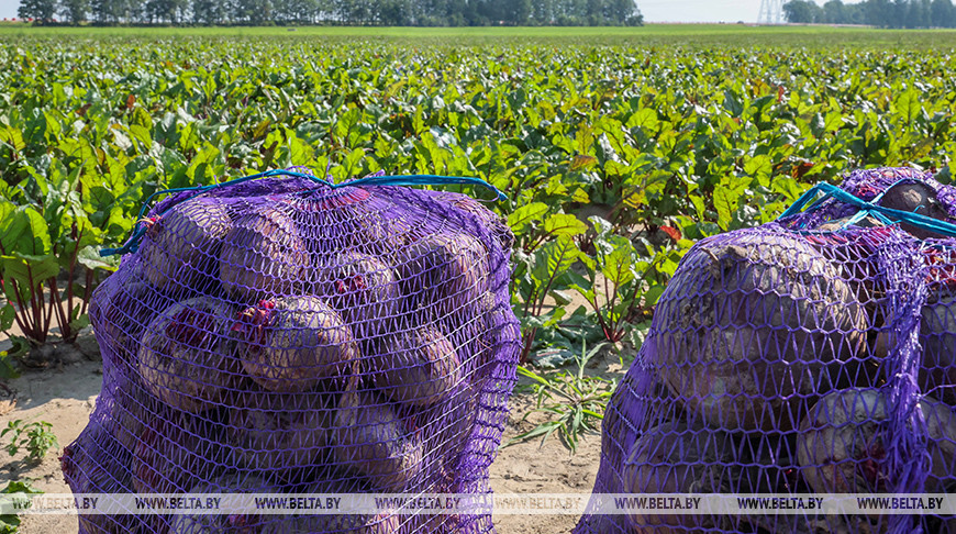 Фото из архива