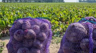 Фото из архива