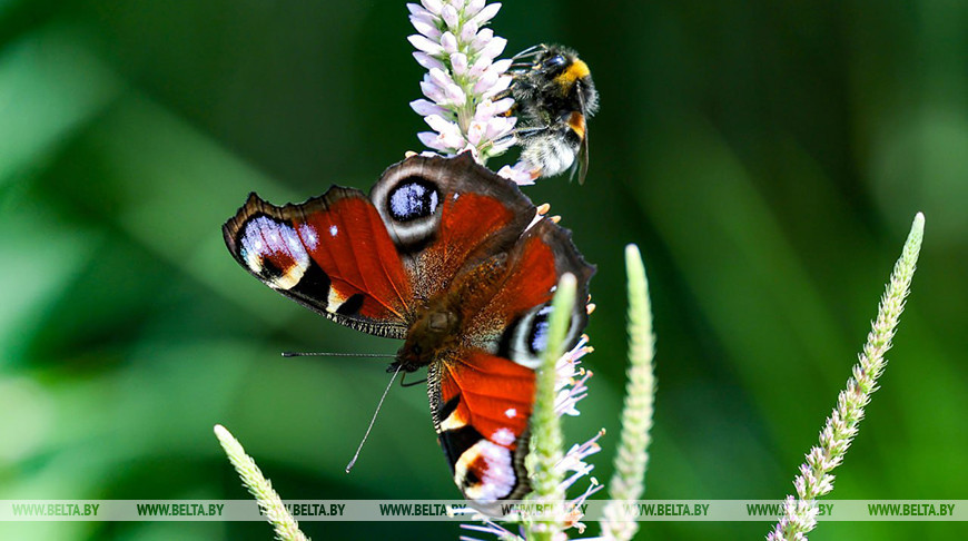 Фото из архива