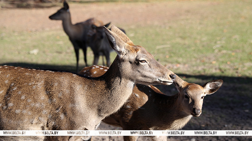 Фото из архива
