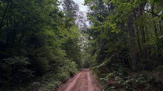 Фото из архива