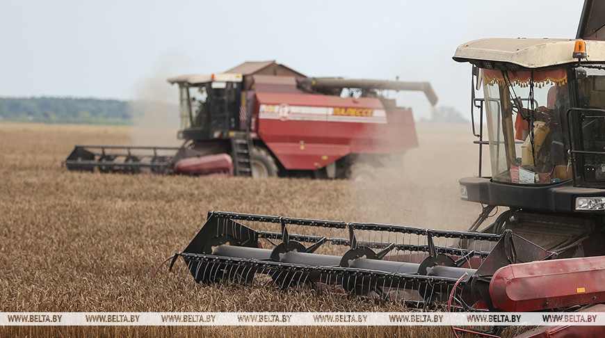 Фото из архива