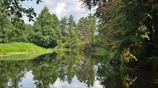 Фото из архива