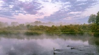 Фото из архива