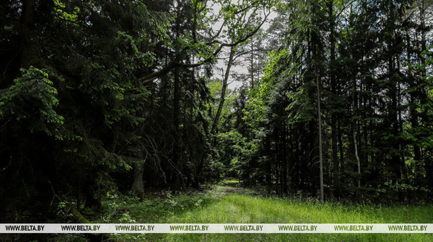 Фото из архива