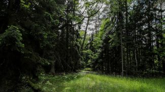 Фото из архива