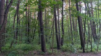 Фото из архива