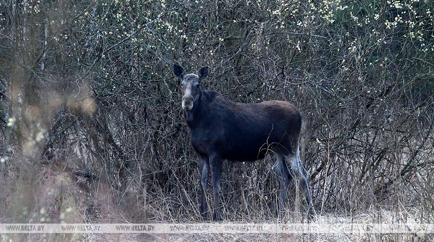Фото из архива