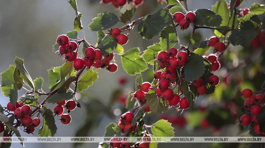 Фото из архива