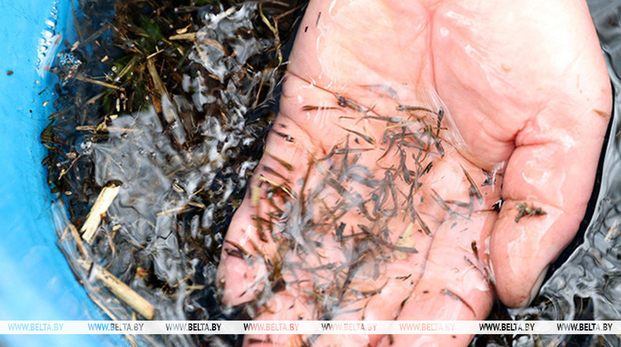 Фото из архива