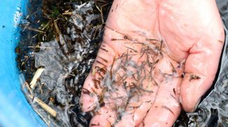 Фото из архива