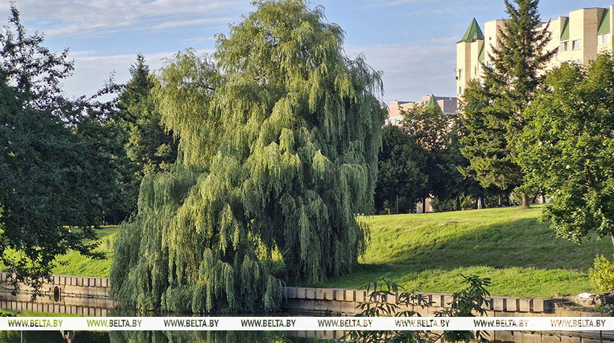 Фото из архива