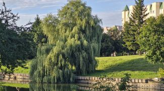 Фото из архива