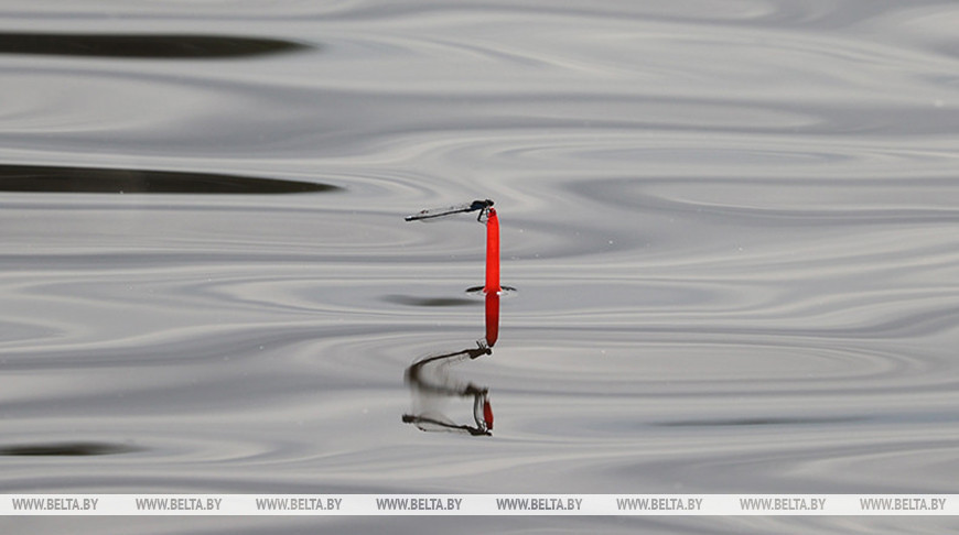 Фото из архива