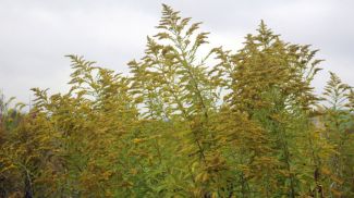 Фото из архива