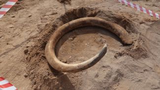 Фото из архива