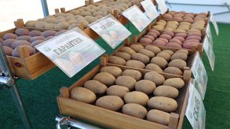 Фото из архива