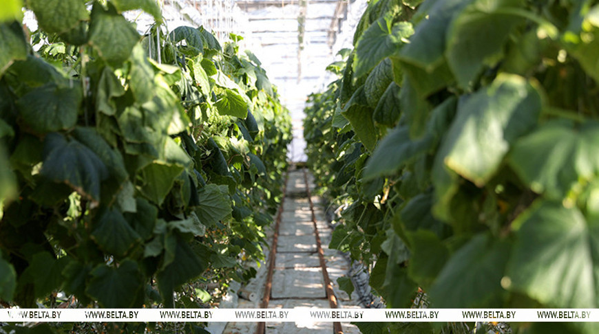 Фото из архива