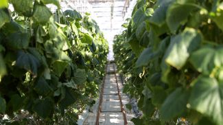 Фото из архива