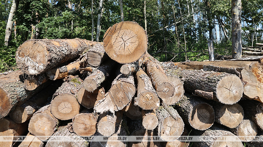 Фото из архива