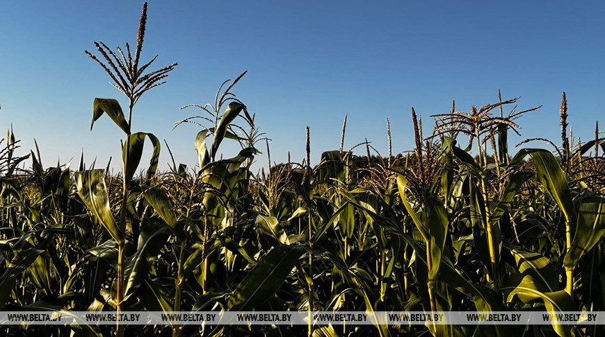 Фото из архива