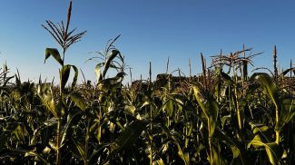 Фото из архива