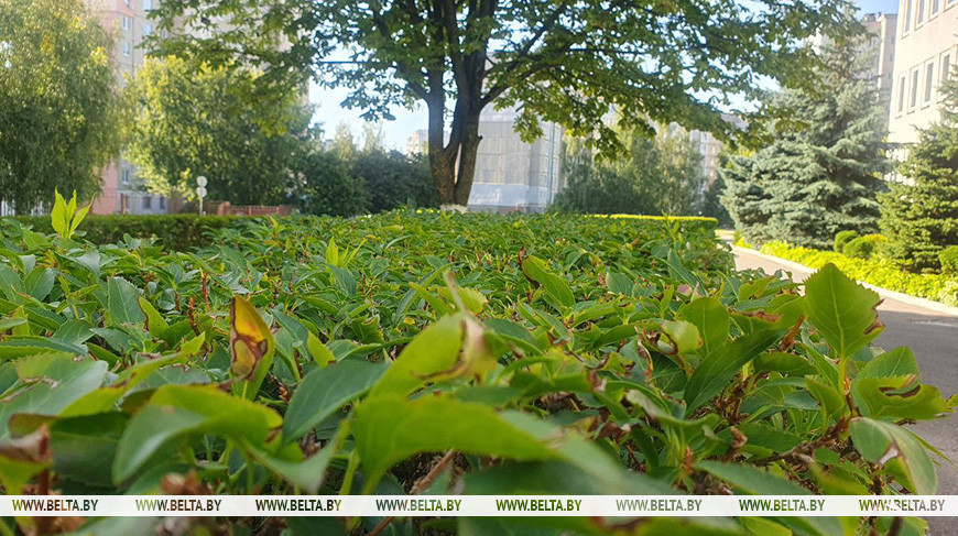 Фото из архива