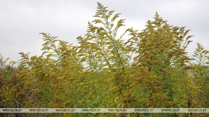 Фото из архива