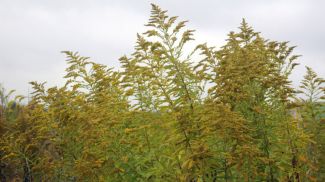 Фото из архива