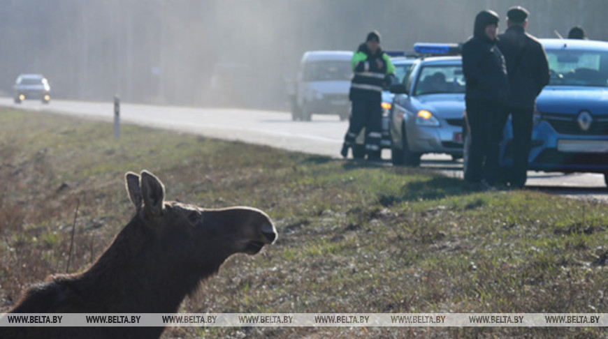 Фото из архива