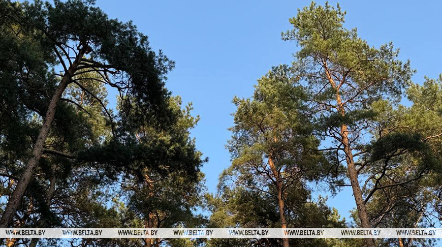 Фото из архива