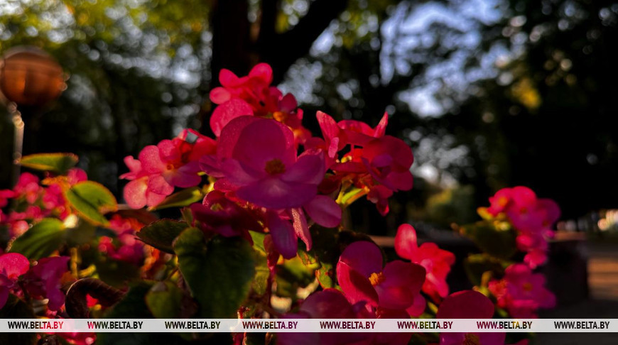 Фото из архива