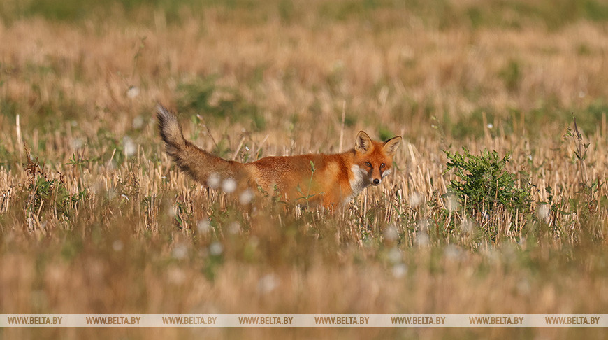 Фото из архива