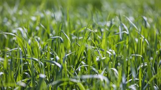 Фото из архива