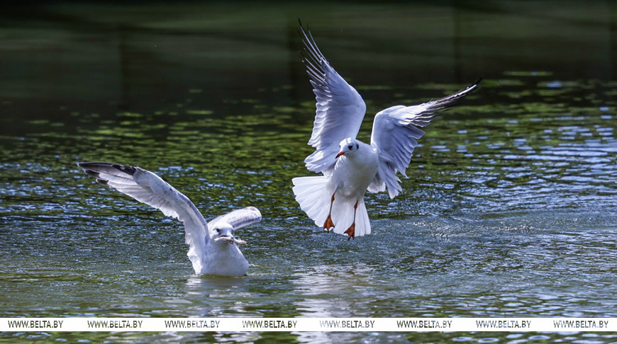 Фото из архива