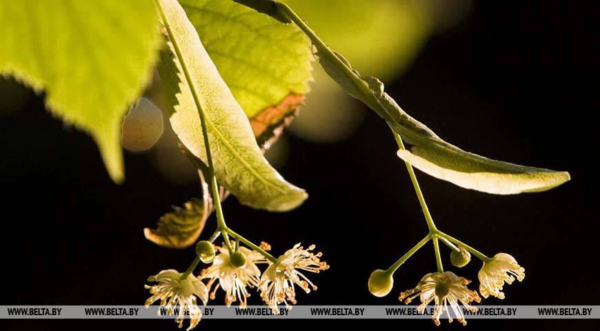 Фото из архива