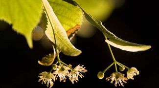 Фото из архива